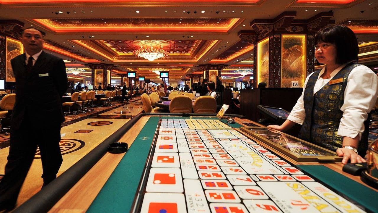 Le casino Vincispin vous donne accès à vincispin casino moderne