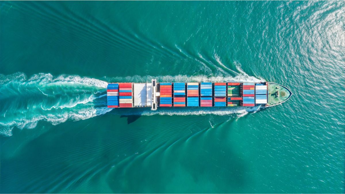 10 Best TMS for Small Shippers